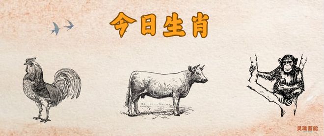 2024新版四不像今晚上映-精选解释解析落实