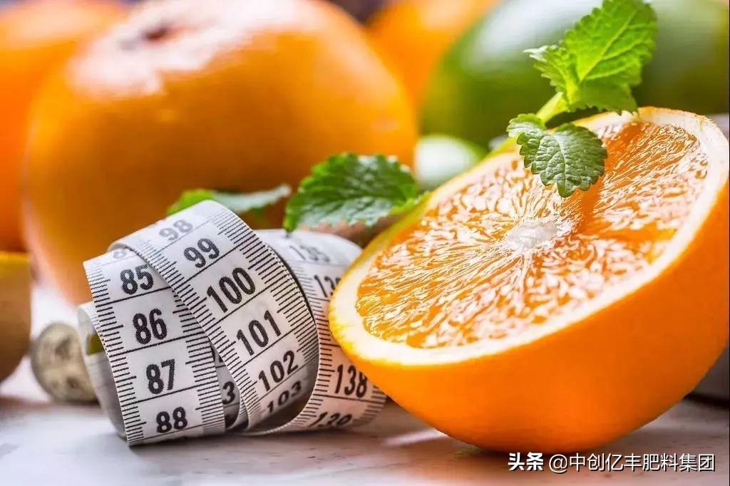 蓝海之略最新新闻，探索未知的商业领域，引领行业新潮流